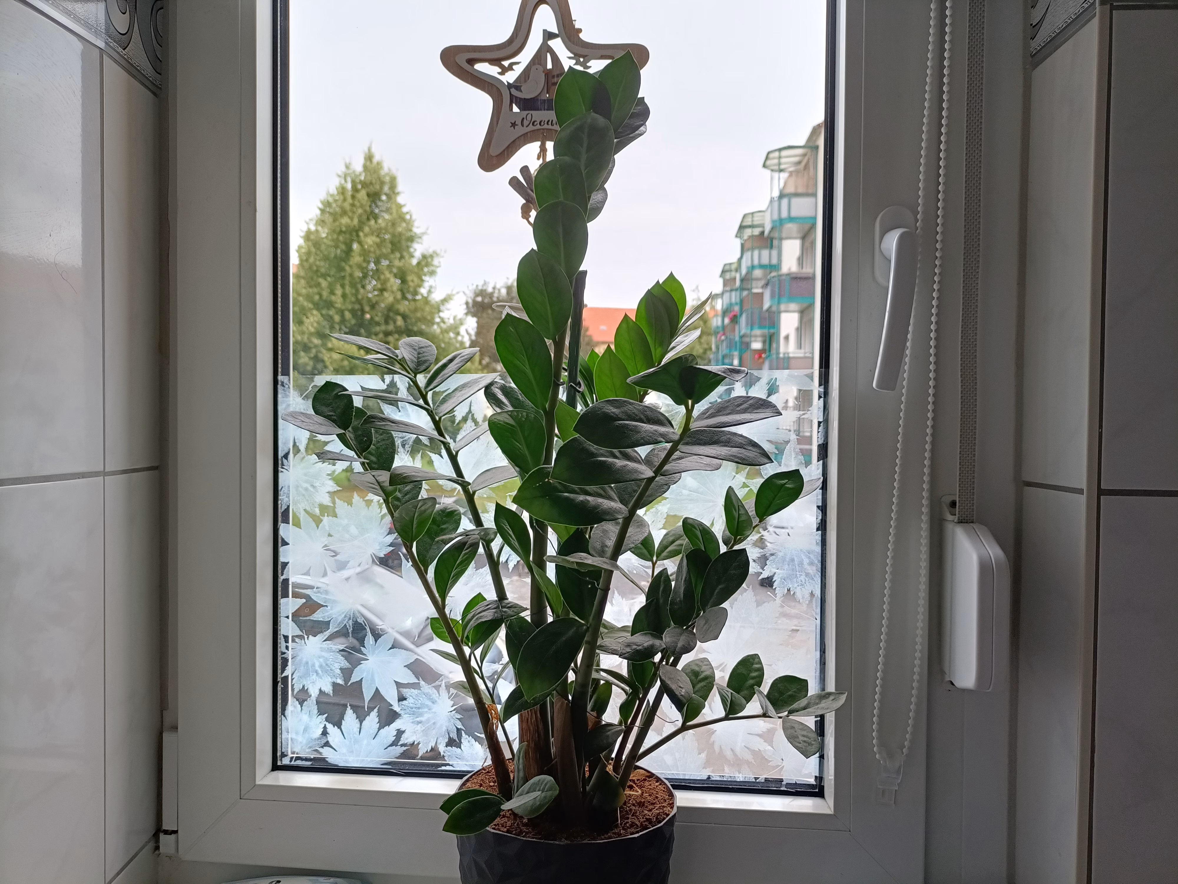 Dekorfolie, weiße Ahornblätter