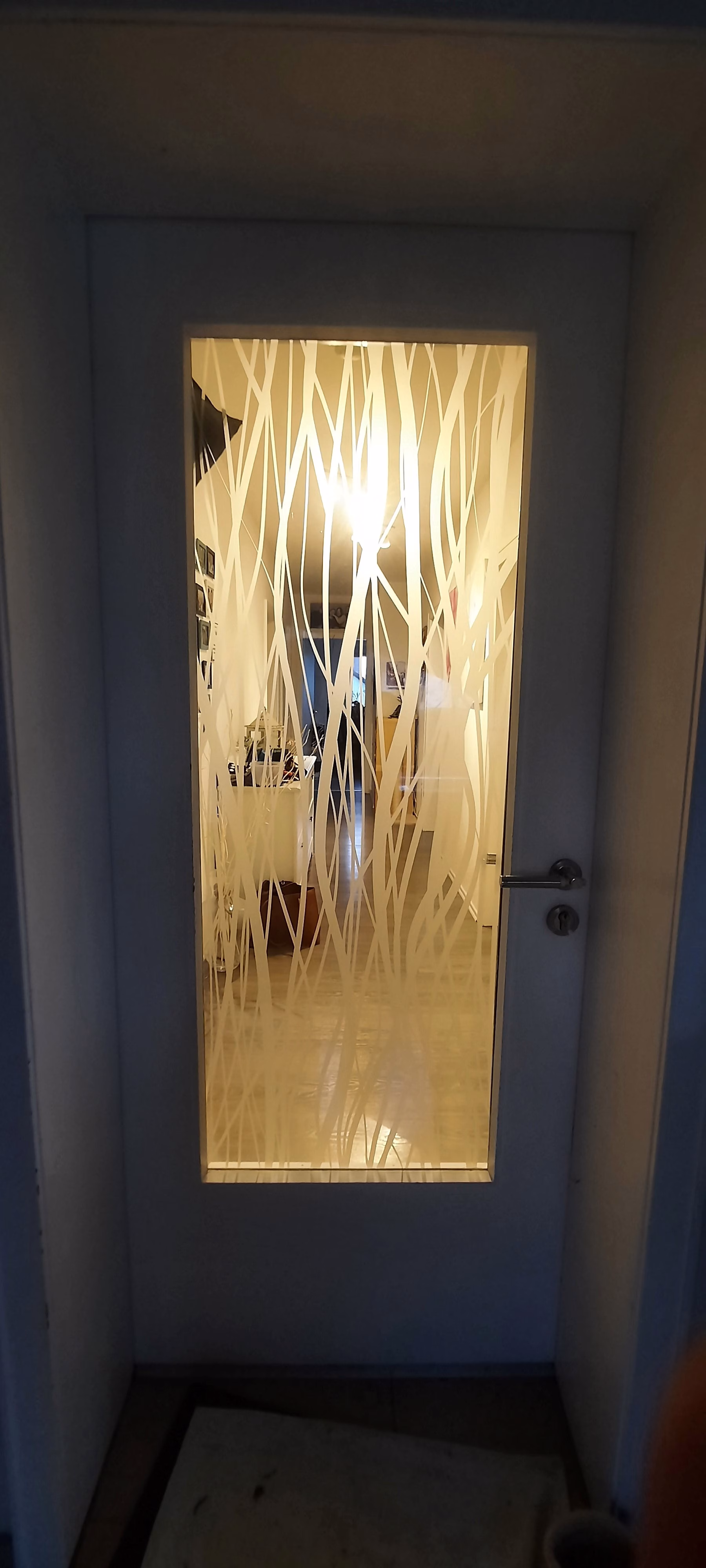 Dekorfolie, Ziergräser bei künstlichem Lichteinfall