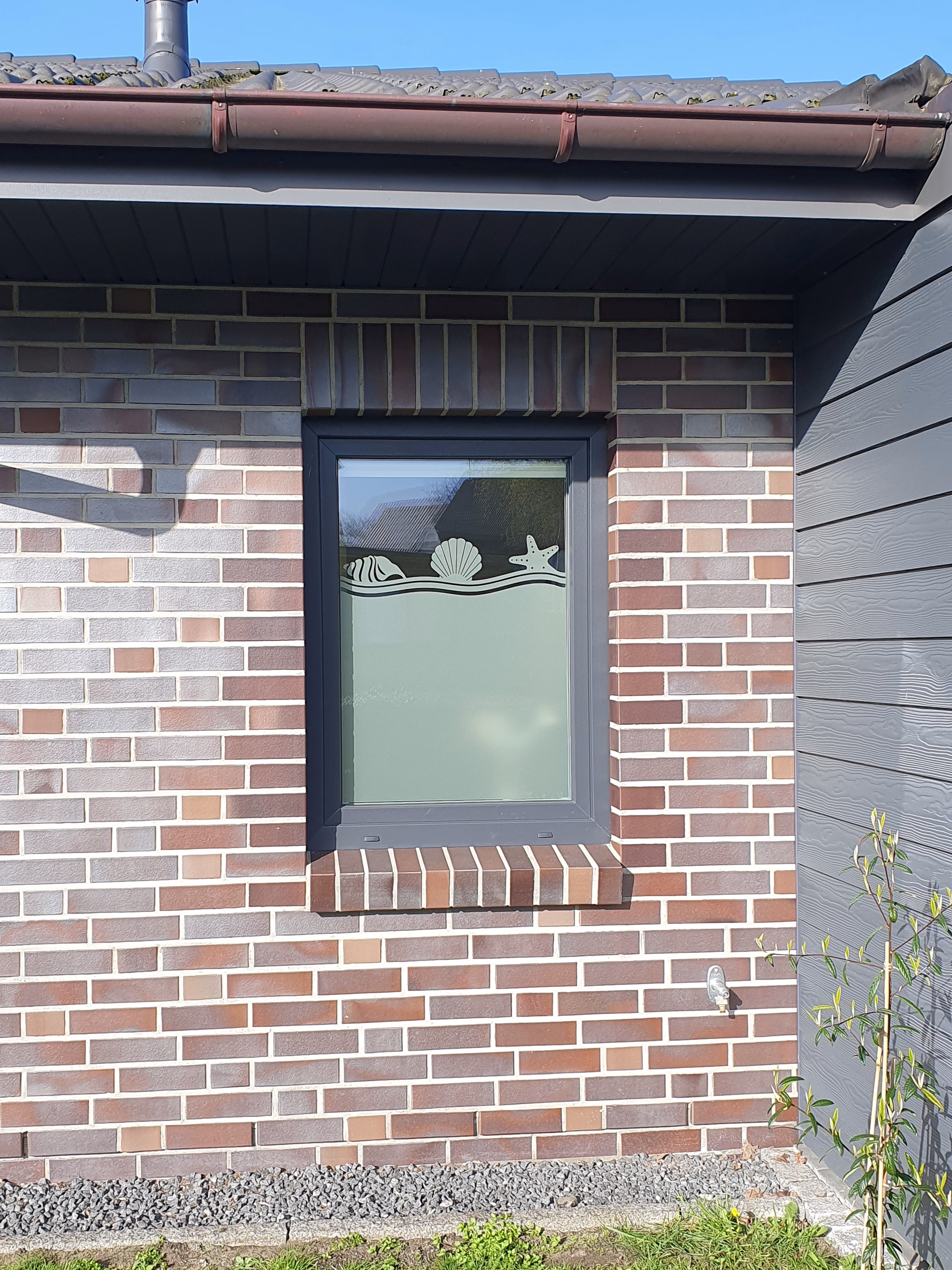 Glasdekor für Fenster, Strand Muschel