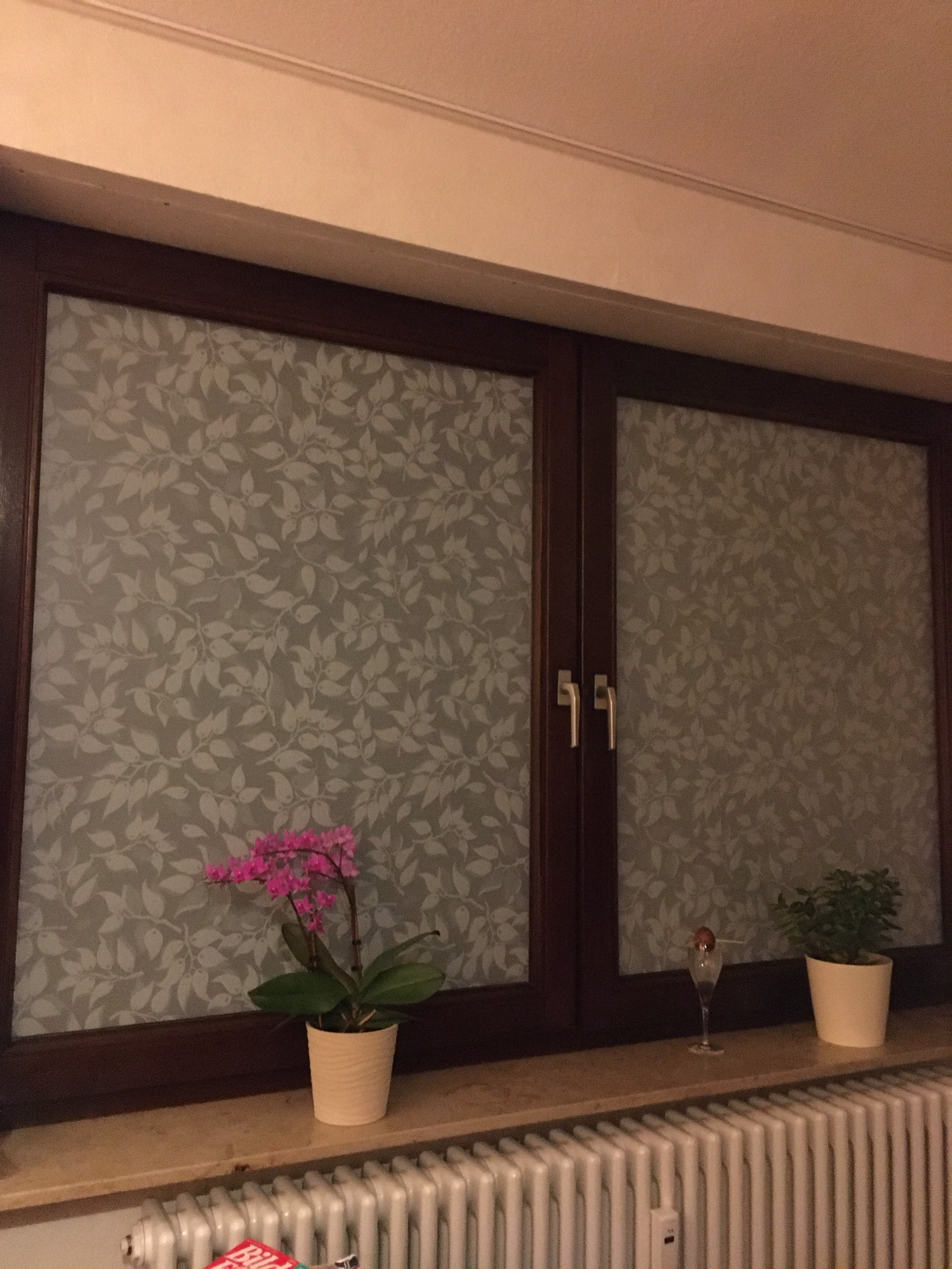 Matte Sichtschutzfolie mit einem Blättermotiv auf Wohnzimmerfenster angebracht