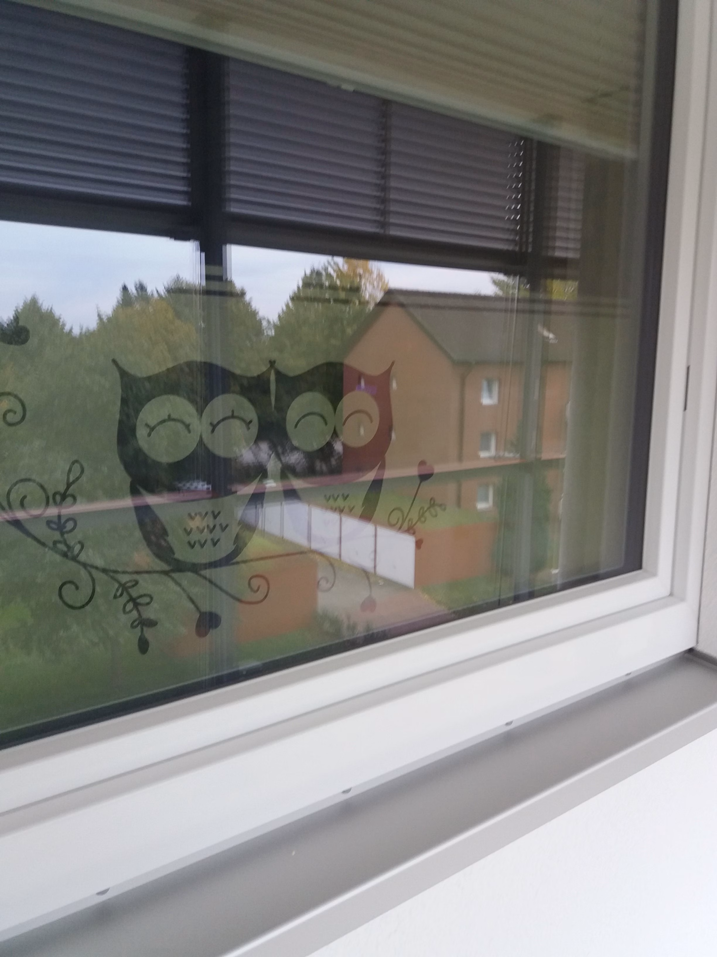 Glasdekorfolie mit Eulenpar von außen betrachtet