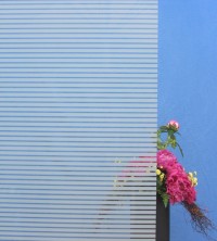 Dekorfolie, horizontale transparent-weiße Streifen, Breite 10 mm