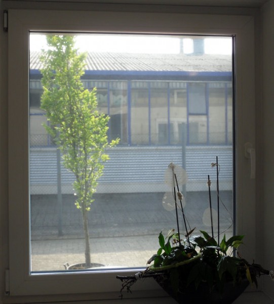 Sonnenschutzfolie, selbsthaftend, Mesh-Optik