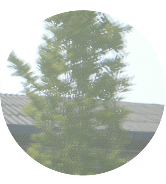 Sonnenschutzfolie, selbsthaftend, Mesh-Optik