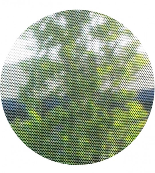 Sonnenschutzfolie, selbsthaftend, Mesh-Optik