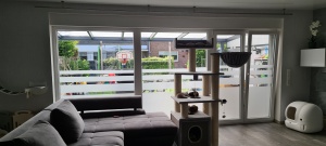 Fensterfront zur Terasse mit Sichtschutz- Streifenfolie