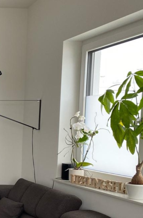 Milchglasfolie im Wohnzimmer auf einem Fenster über der Couch