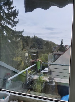 Innenansicht eines mit der Sonnenschutzfolie silber mittel verspiegeltem Küchenfensters